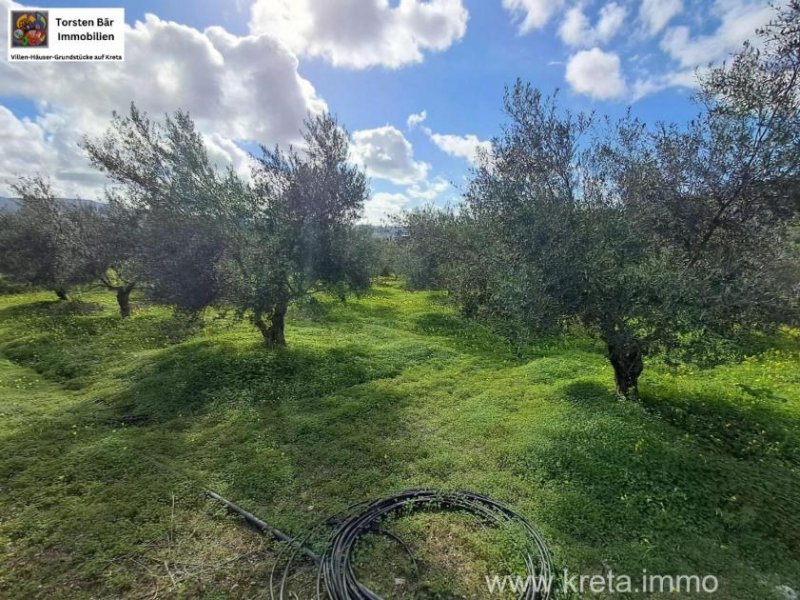 KALIVIA Kreta, Kalivaia Olivenhain 55 Bäume Ein persönlicher Rückzugsort inmitten der Natur Grundstück kaufen